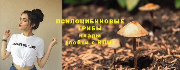 шишки Абдулино
