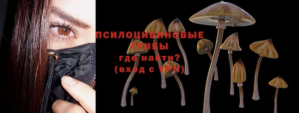 твердый Абаза