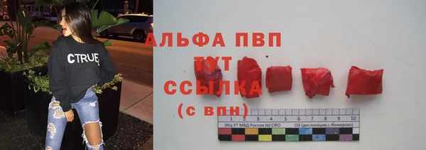 твердый Абаза