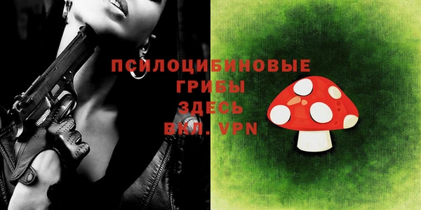 шишки Абдулино