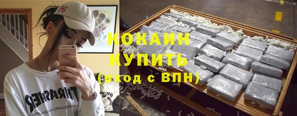 твердый Абаза