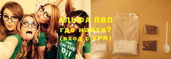 твердый Абаза