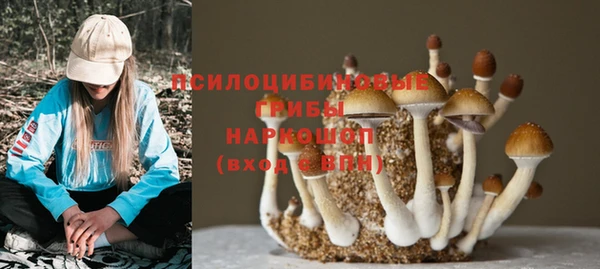 шишки Абдулино