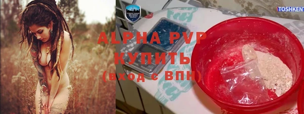 твердый Абаза