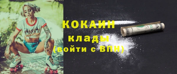 твердый Абаза